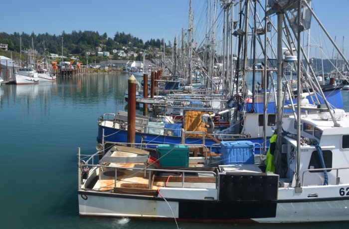 fishing boats at Newport's bayfront